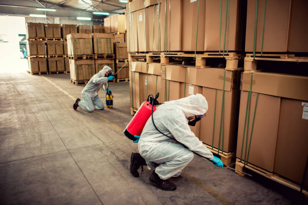 Best Bed Bug Extermination  in Williston, ND
