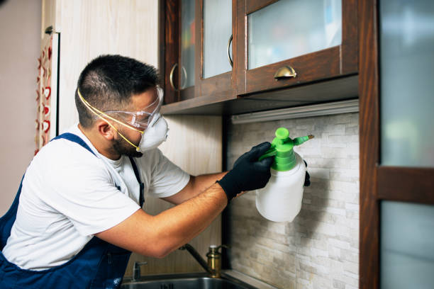 Best Affordable Pest Control Services  in Williston, ND