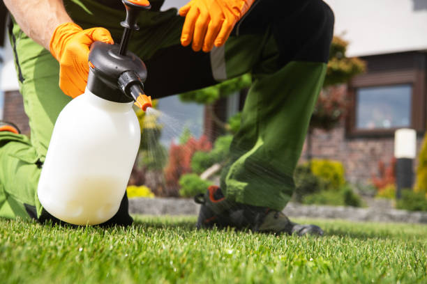 Best Pest Control Treatment  in Williston, ND
