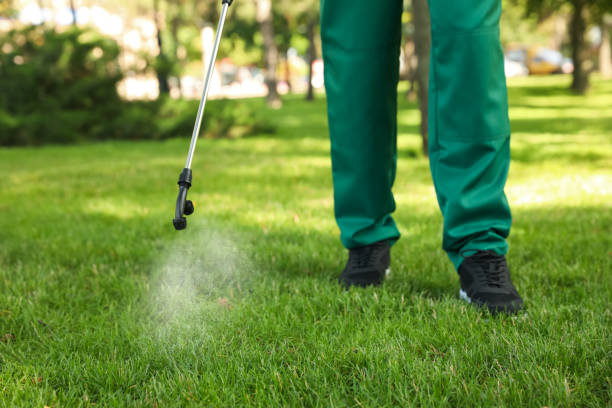 Best Pest Prevention Services  in Williston, ND