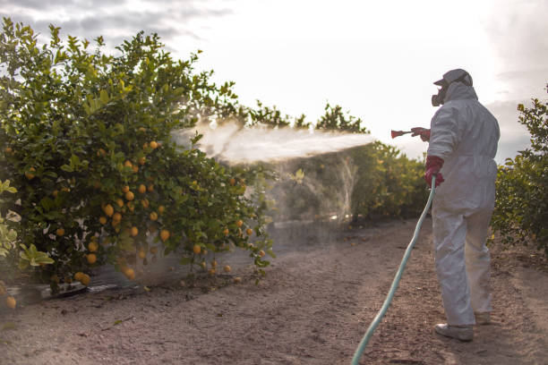 Best Pest Removal Services  in Williston, ND