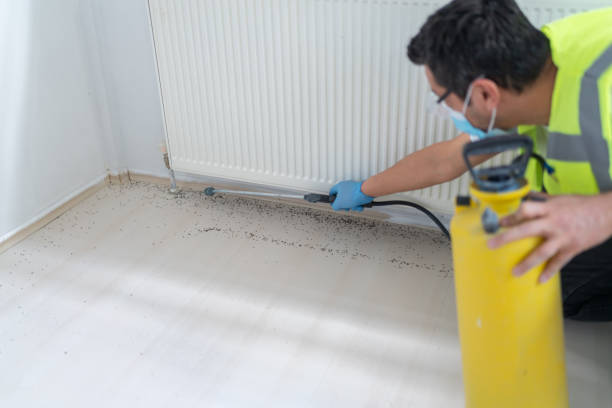 Best Affordable Pest Control Services  in Williston, ND