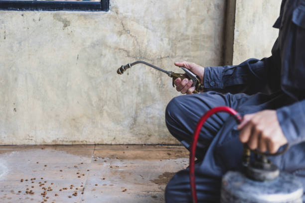 Best Pest Inspection Near Me  in Williston, ND