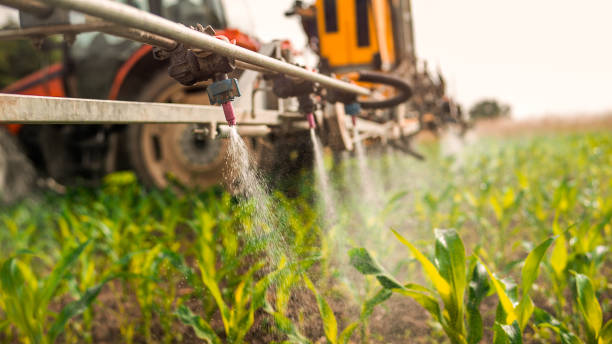 Best Pest Removal Services  in Williston, ND